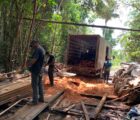 Ipaam apreende madeira e destrói fornos de fabricação de carvão ilegal na Região Metropolitana de Manaus
