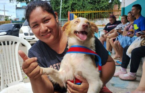 agendamento-para-castracao-gra
