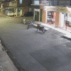 camera-mostra-ataque-a-tiros-q