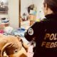 pf-combate-crimes-de-abuso-e-e