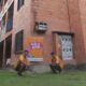 exposição de grafite