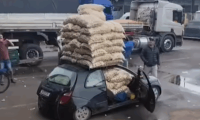 ford-ka-leva-58-sacos-de-batat