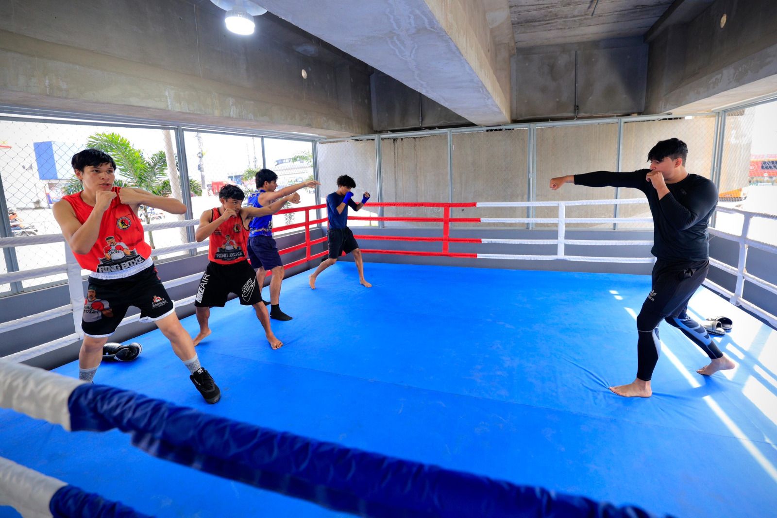boxe-sob-o-viaduto-rei-pele-e-