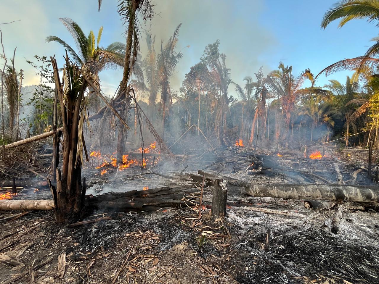incêndios-manicoré-desmatamento-canal92am