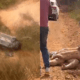 homem-morre-apos-carro-despenc