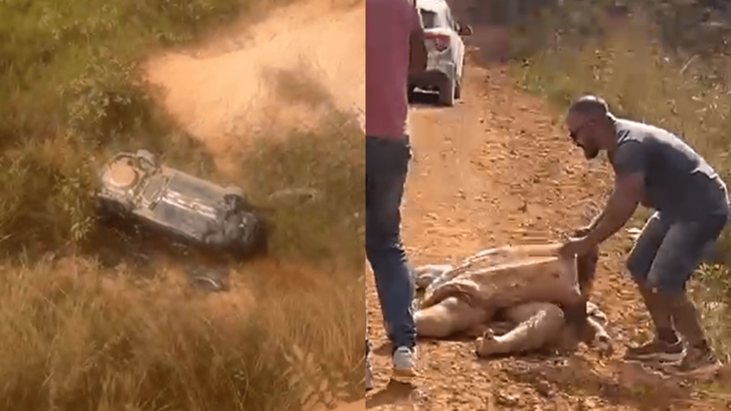 homem-morre-apos-carro-despenc