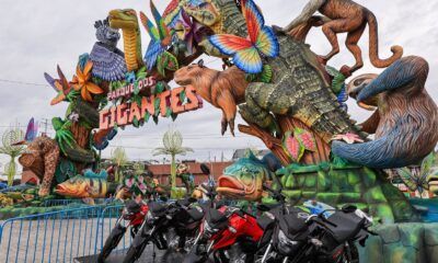 parque-gigantes-da-floresta-aniversário-canal92am