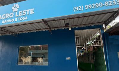 AGRO_LESTE_BANHO_E_TOSA_CANAL92AM