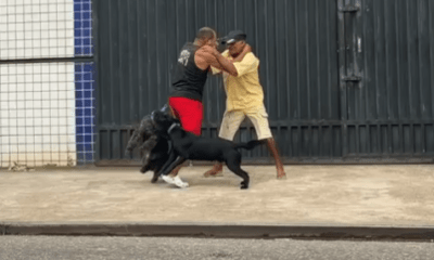 briga-canina-vira-discussao-ac