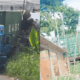 carreta-invade-casa-e-fere-cri