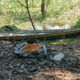 idoso-e-encontrado-morto-apos-