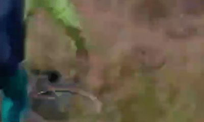 mae-flagra-em-video-homem-se-e