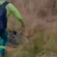mae-flagra-em-video-homem-se-e