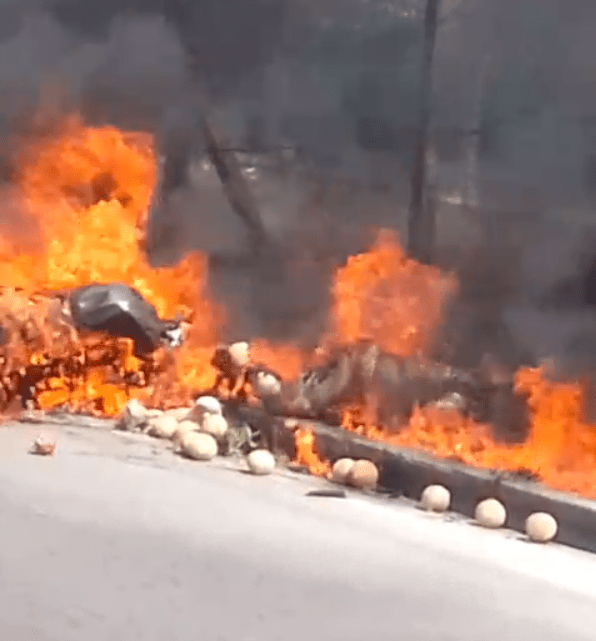 motociclista-morre-carbonizado