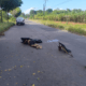 soldador-morre-em-acidente-de-