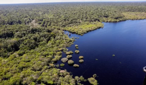 amazonia-e-cerrado-registram-q