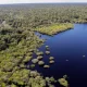 amazonia-e-cerrado-registram-q