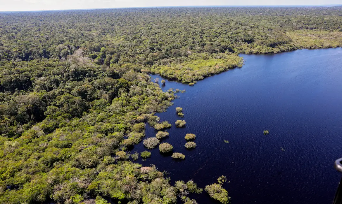 amazonia-e-cerrado-registram-q