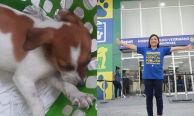 joana-darc-morte-cachorro-canal92am