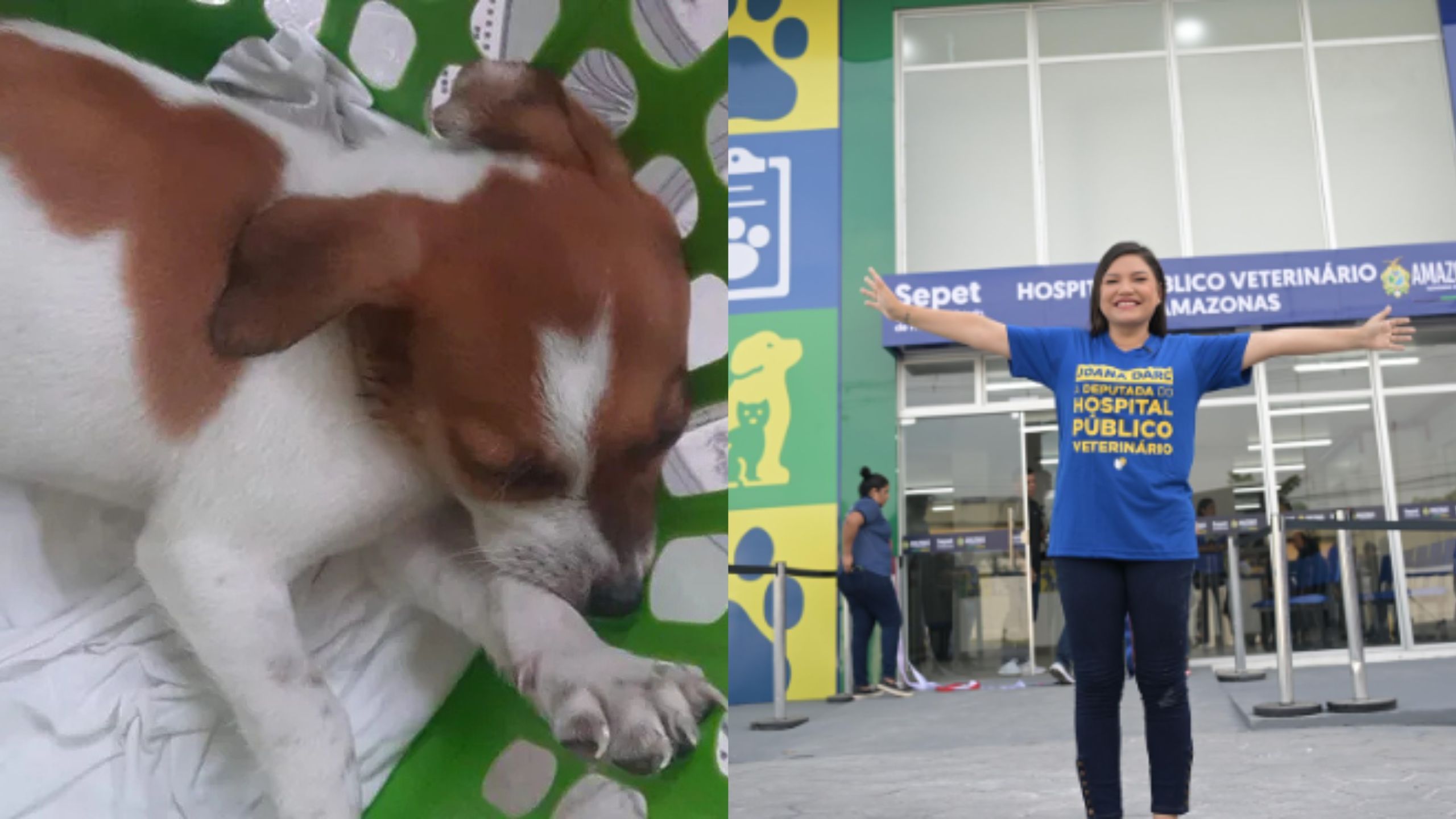 joana-darc-morte-cachorro-canal92am