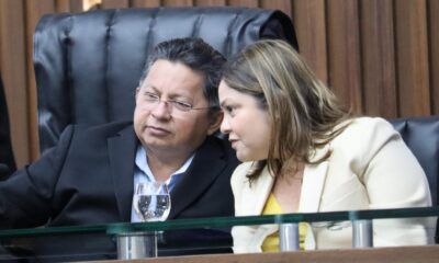pl-do-crea-am-e-do-deputado-si
