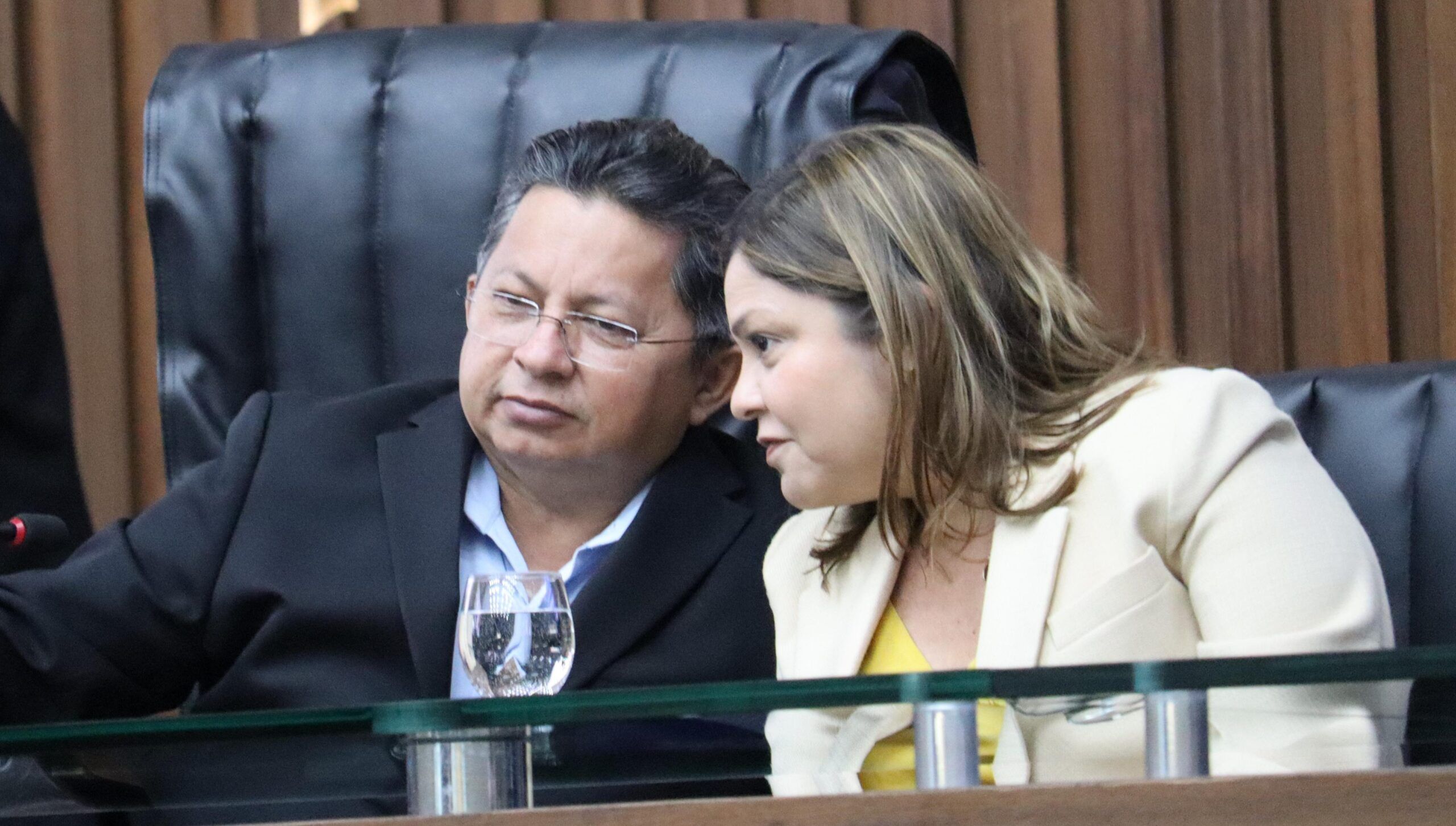 pl-do-crea-am-e-do-deputado-si