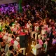 dia-nacional-do-samba-tera-fes