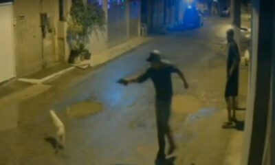 cachorro-e-morto-a-tiros-no-rj