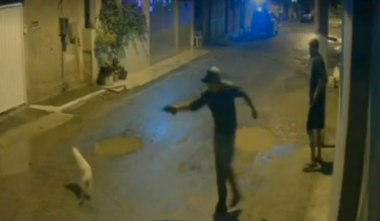 cachorro-e-morto-a-tiros-no-rj