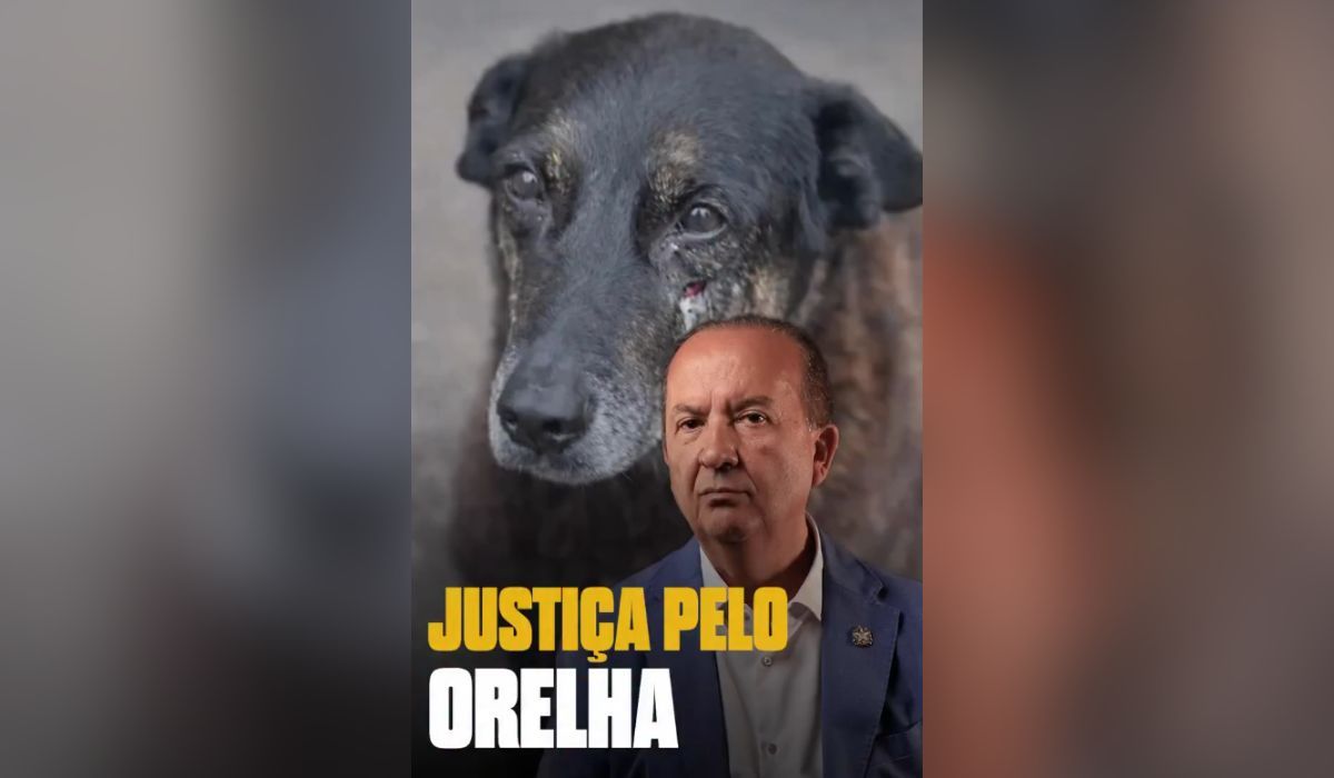 cao-orelha-jorginho-mello-canal92am