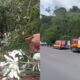 caminhão-ribanceira-canal92am