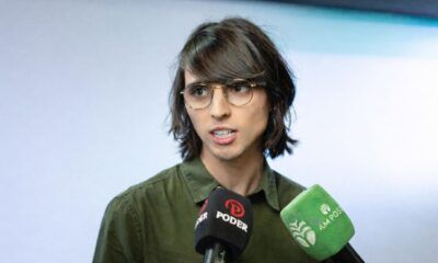 Amom-mandel-crimes-caes-atropelados-canal92am