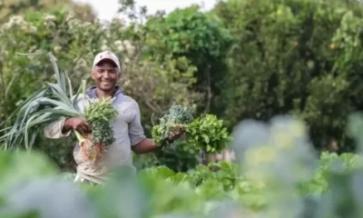 agricultura-familiar-canal92am