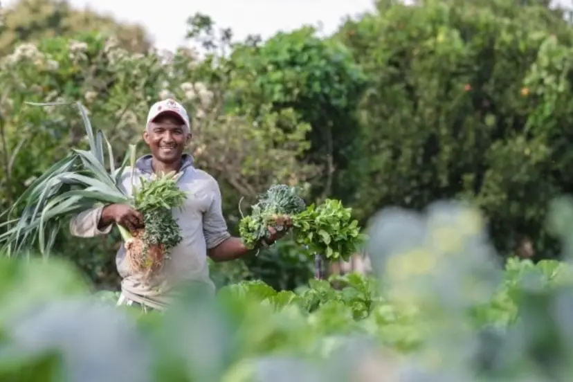 agricultura-familiar-canal92am