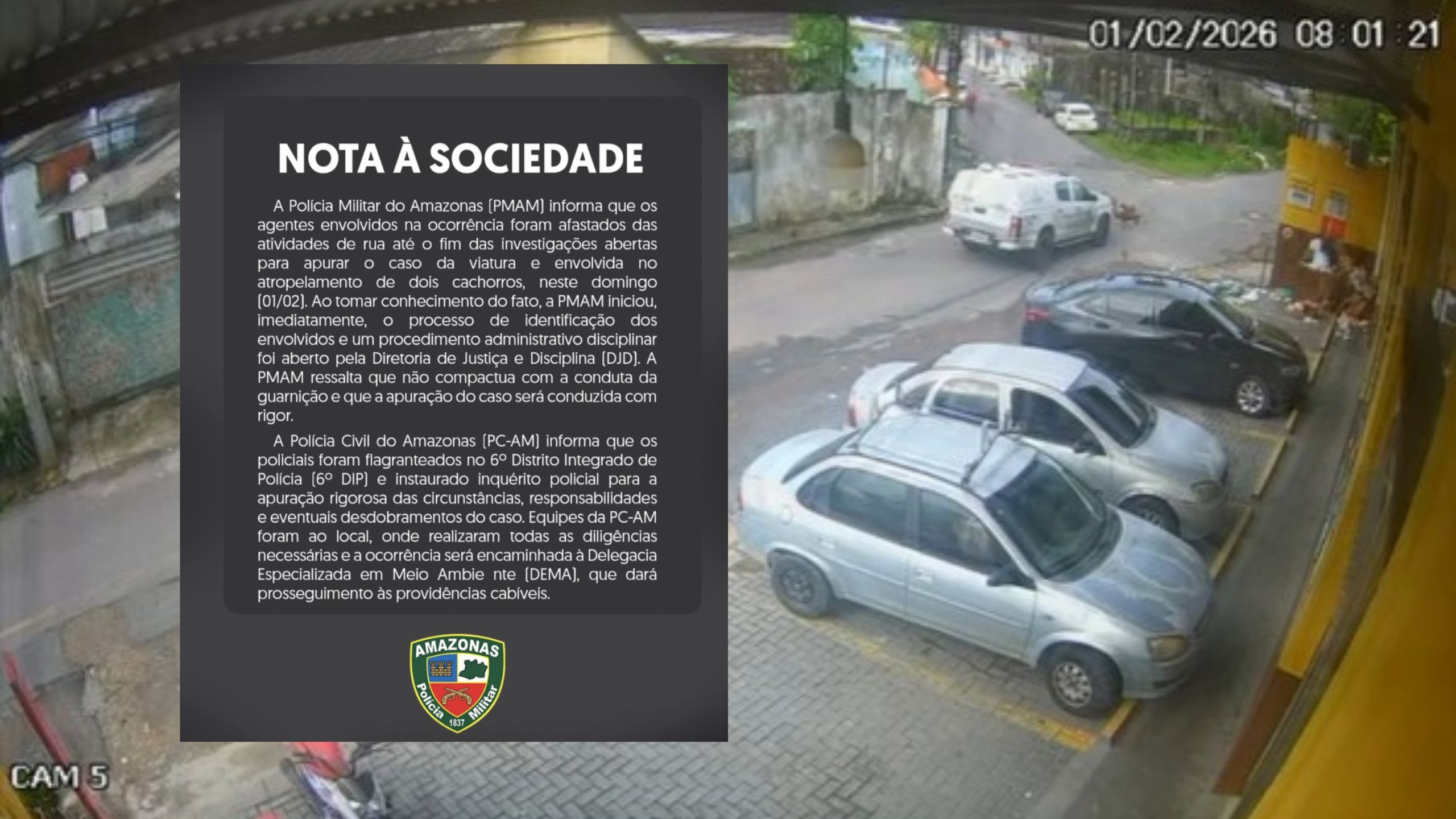 nota-polícia-atropelamento-cachorros-canal92am
