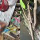 perna-humana-encontrada-canal92am