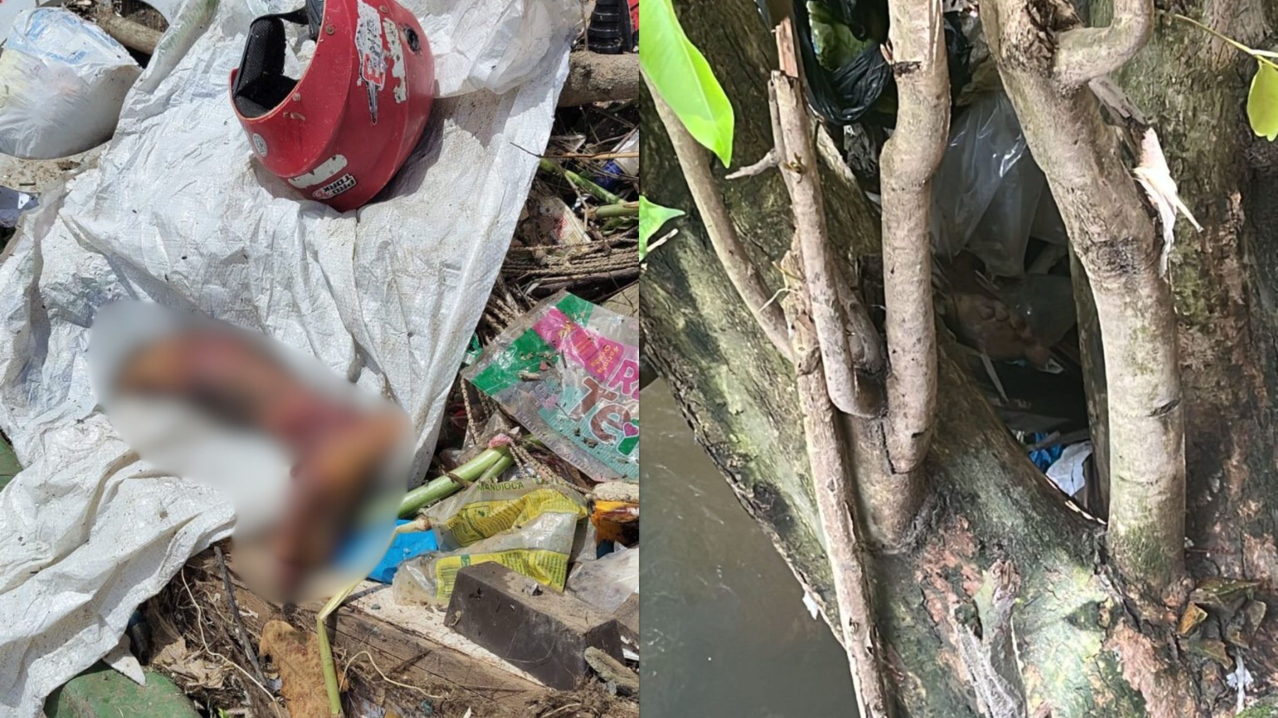 perna-humana-encontrada-canal92am
