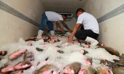 pescado-entrega-semana-santa-canal92am