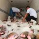 pescado-entrega-semana-santa-canal92am