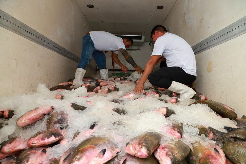 pescado-entrega-semana-santa-canal92am