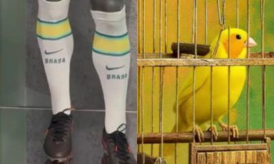 seleção-brasileira-polêmica-canal92am