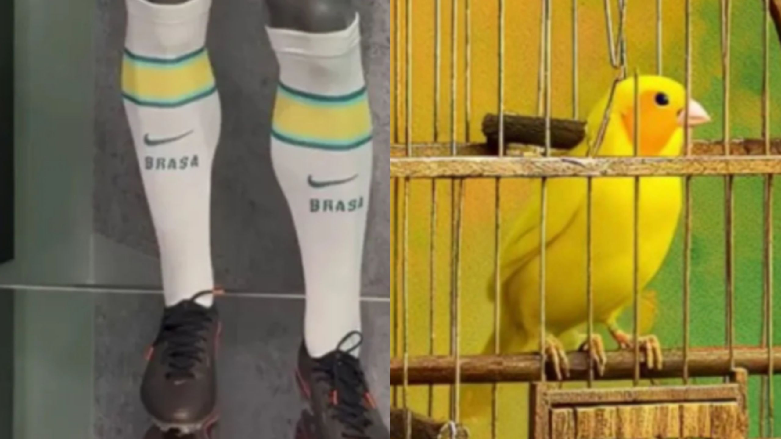 seleção-brasileira-polêmica-canal92am