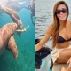 advogada-mordida-tubarao-fernando-de-noronha-canal92am