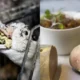 foie gras-proibição-venda-brasil-canal92am