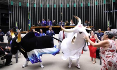 caprichoso-e-garantido-homenagem-camara-dos-deputados-canal92am