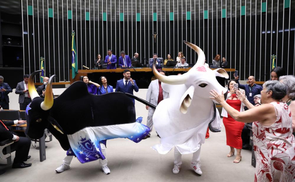 caprichoso-e-garantido-homenagem-camara-dos-deputados-canal92am