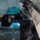 carro-bate-poste-canal92am