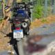 homem-morto_distrito_canal92am