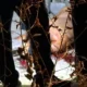 homem-assassinado-em-casa-terra-nova-canal92am