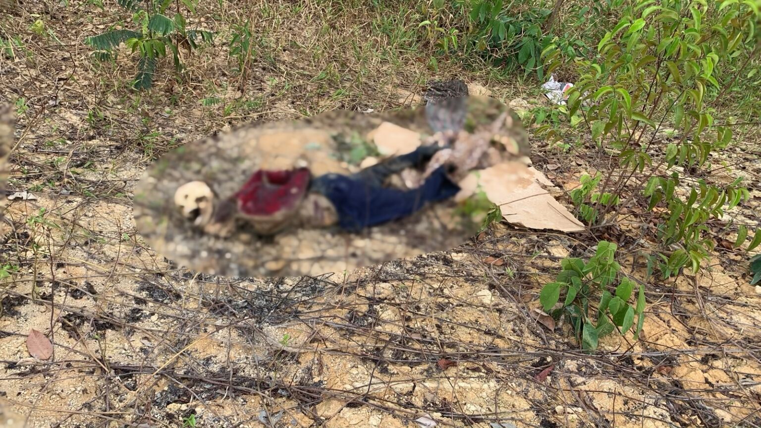 cadaver-encontrado-ramal-do-brasileirinho-canal92am